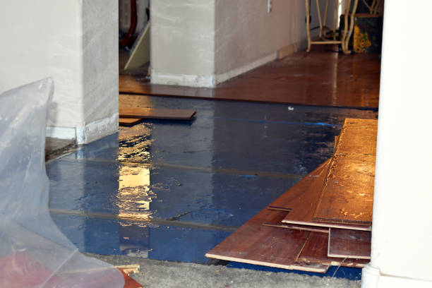 Professional Basement Flood Cleanup technician working in Purdys, NY